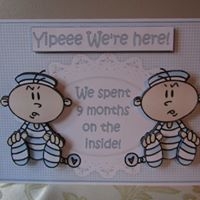 Yipeee the Twin Boys Are Here by Deborah McLuckie