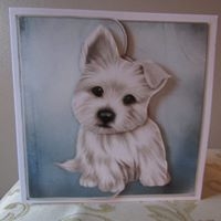 Paws by Deborah McLuckie