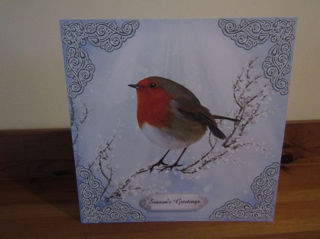Robin Resting on a Branch by Deborah McLuckie