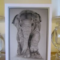 Baby Elephant by Deborah McLuckie