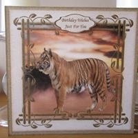 The Regal Tiger - Safari Collection by Deborah McLuckie