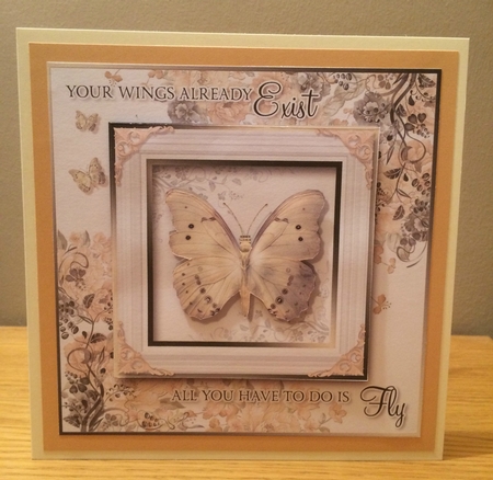 All You Have To Do Is Fly by Deborah McLuckie