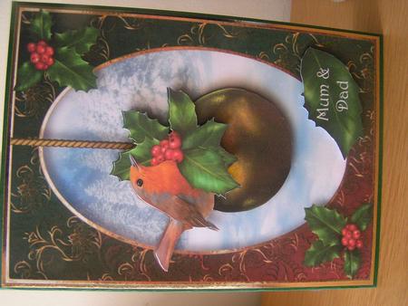 Robin & Holly Christmas by Deborah McLuckie
