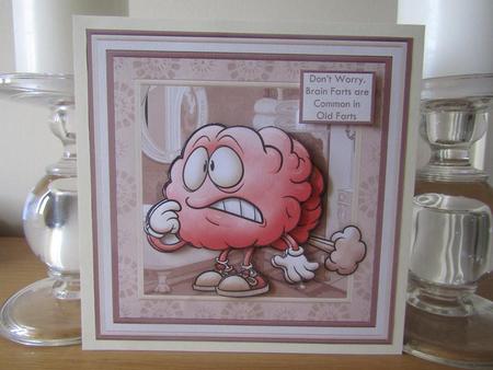 Brain Farts 7.5 Decoupage Mini Kit Various Occasions by Deborah McLuckie