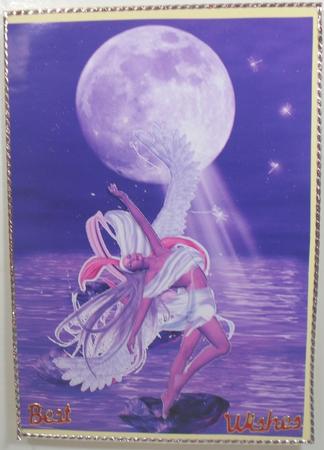 A4 Moonlight Angel by Debbie Porter