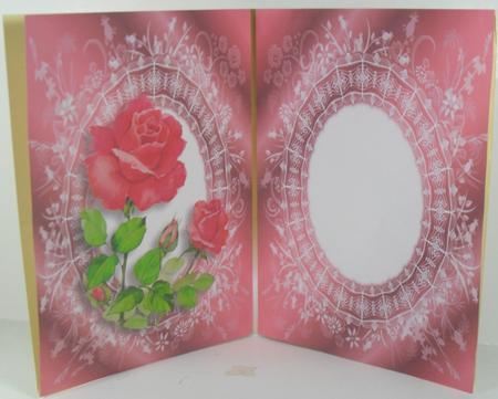Pink Roses Insert by Debbie Porter