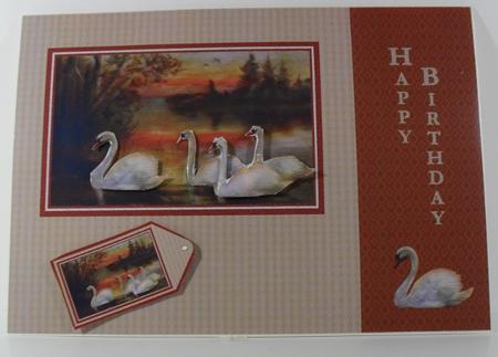 The Swan Family Card Front by Debbie Porter