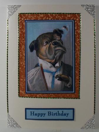 The Bulldog and the Wasp Pyramid by Debbie Porter