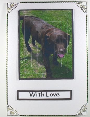 Invertage Tunnel Chocolate Labrador by Debbie Porter