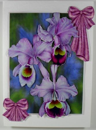 Orchids for a Special Lady 30-100 by Debbie Porter
