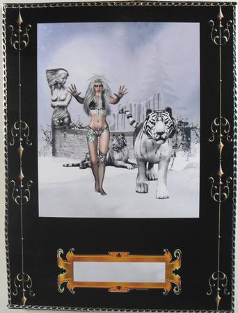 A4 Ice Fantasy by Debbie Porter