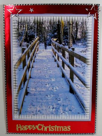 Reindeer Tracks? A4 by Debbie Porter