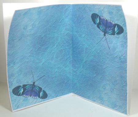 Butterfly Insert by Debbie Porter