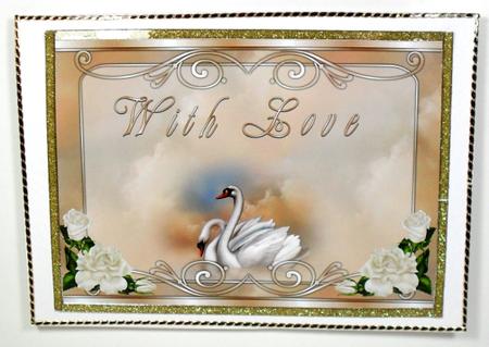 Swan Song by Debbie Porter