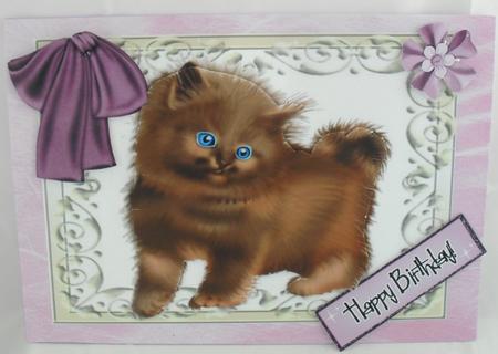 Bright Eyes, Fluffy Kitten by Debbie Porter