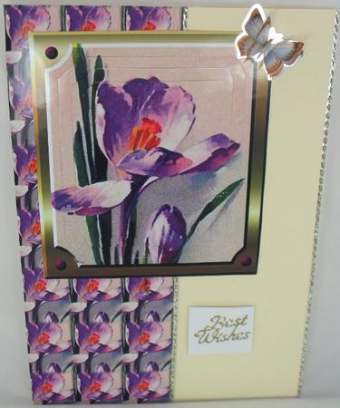 Crocus Topper by Debbie Porter