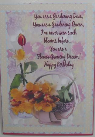 Gardening Diva Daffodil & Tulip A4 Card by Debbie Porter