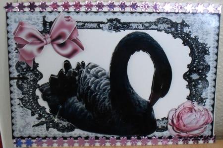 Beautiful Black Swan with Pink Rose in Lace Frame by Debbie Porter