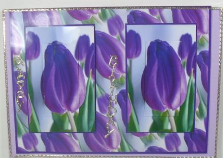 Simply Tulips by Debbie Porter
