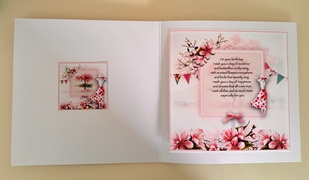 Cherry Blossom Dreams Card Front Kit by Deborah Sharp