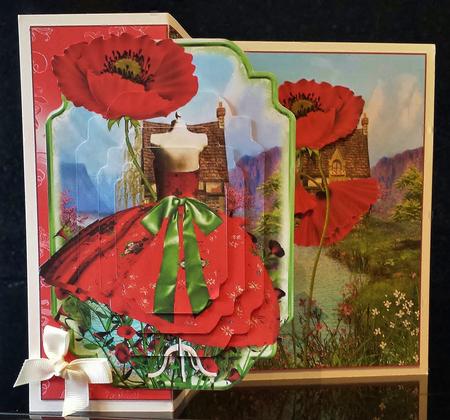 No Holes Fold Poppy by Deborah Sweet