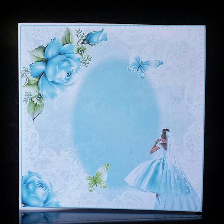 Insert to Compliment the Turquoise Dress Bride by Deborah Sweet
