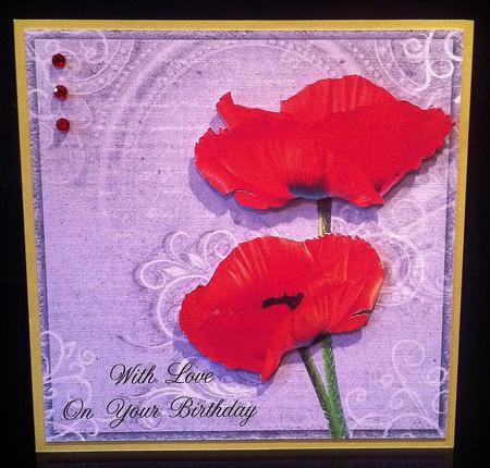 Poppy Duo on Grey 8x8inch Birthday Step by Step by Deborah Sweet