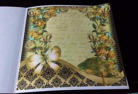 Insert to Compliment the Girl with Golden Hair by Deborah Sweet