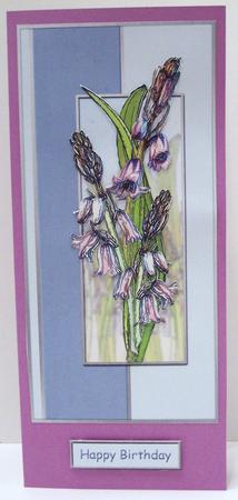 Bluebells in Teal by Deborah Braun