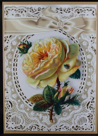 Peach Rose on Vintage Lace A4 by Deborah Braun