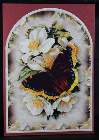 Butterfly Rounded Quick Card by Deborah Braun