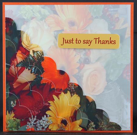 Spring and Summer Flowers by Deborah Braun
