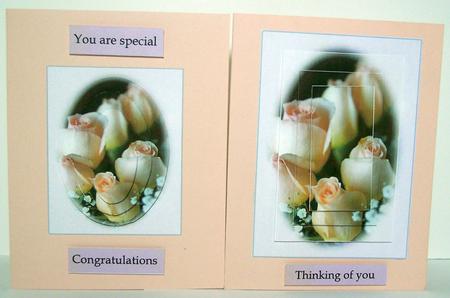 Just Roses Congratulations You Are Special Thinking of You by Deborah Braun