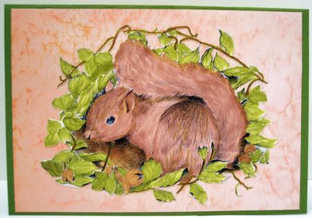 Squirrel Graphite Drawing Topper and Watercolour Background by Deborah Braun