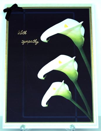 A4 Three Callas on Blue by Debra Macey