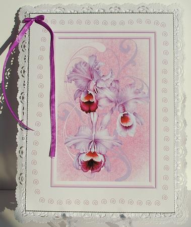 A4 Orchid Card Purples Perfect for a Birthday Mothers Day Get Well or Thinking of You by Debra Macey