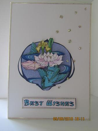 Fish and Water Lilies by Debra Jenkinson
