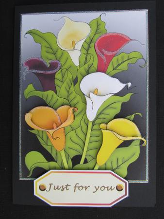 Multi Coloured Arum Lilies by Debra Jenkinson