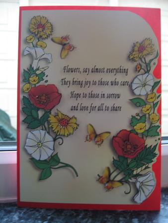 Colourful Posey and Words by Debra Jenkinson