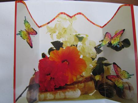 Floral with Floating Butterfly by Debra Jenkinson