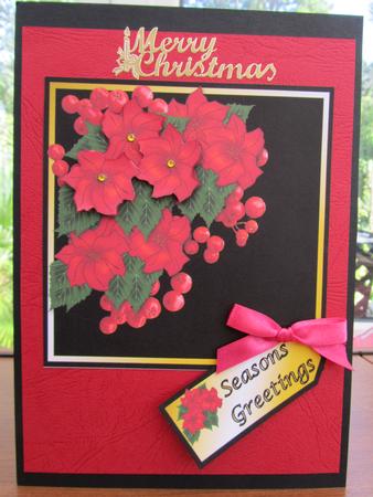 Poinsettia with Berries by Debra Jenkinson