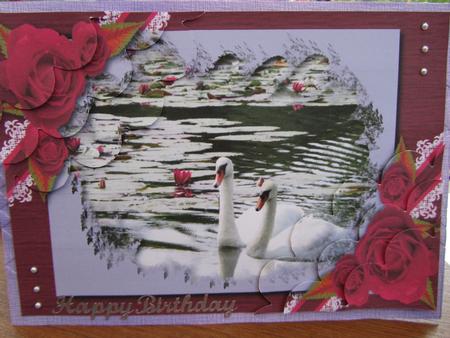 Swans & Roses by Debra Jenkinson