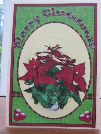 Oval Pointsettia Pyramage by Debra Jenkinson