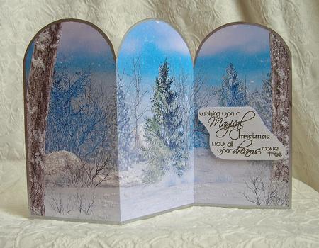 Christmas Snow Scene Tri Fold by Debra Laraway