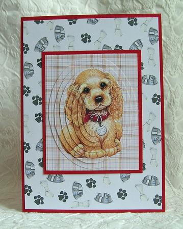 Spaniel Puppy by Debra Laraway