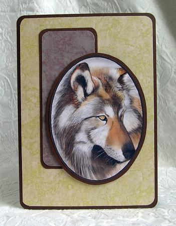 Crumpled Paper Effect Baccking Sheets by Debra Laraway