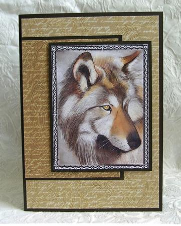 Sophia Paper Pack by Debra Laraway