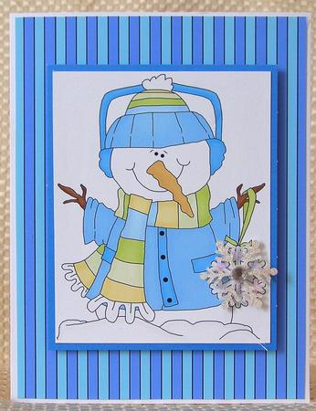 Festive Multi & Stripes in Frost Colours by Debra Laraway