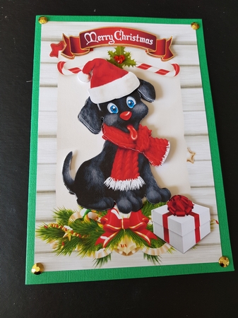 Cute black puppy in santa hat on a scroll A5 Featured Gallery Photo