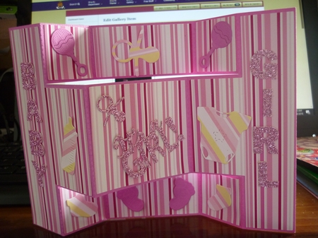 Baby Girl's First Year - Paper Pack 2 by Deidre Chisnall